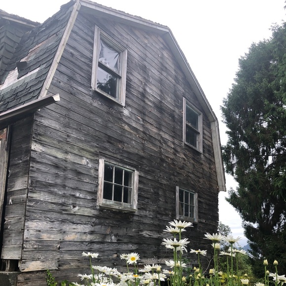 Meet your Posher, Savanah - Picture 1 of 1